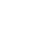 logo_pp